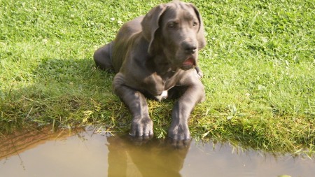 Na brehu jazierka.JPG