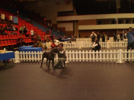 Prešov 12.09.2010.JPG